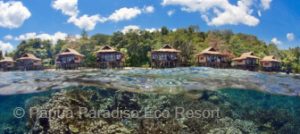 Indonesia-Diving-Deals-June-Papua-Paradise-Eco-Resort