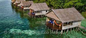 Indonesia-Diving-Deals-Papua-Paradise-Eco-Resort
