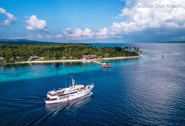 Wakatobi-Dive-Resort